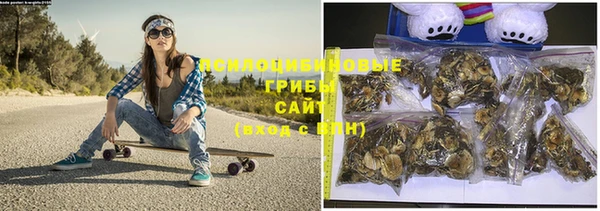 PSILOCYBIN Алексин