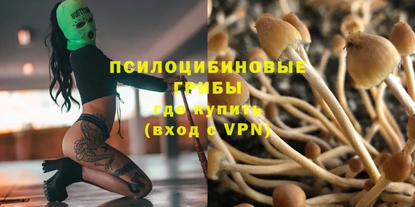 хмурый Алексеевка